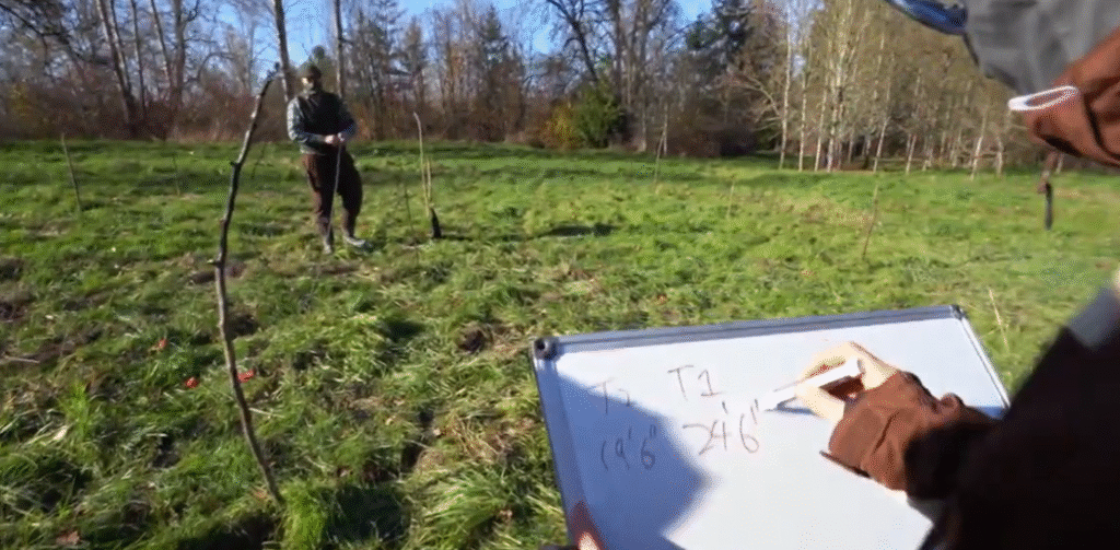 Why Modern Parents Are Choosing Forest Schools Why Modern Parents Are Choosing Forest Schools