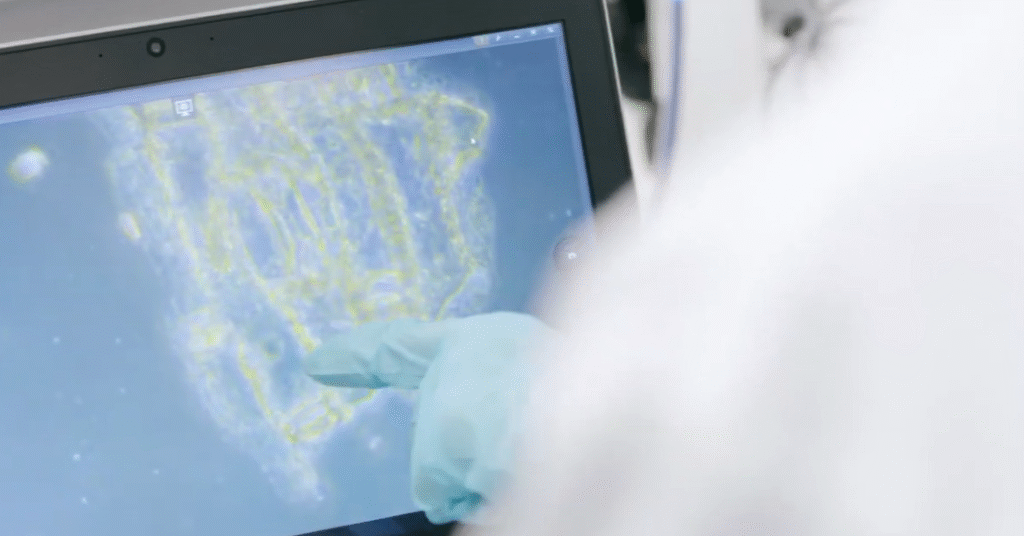 The Digital Divide: Who Gets Left Behind When Learning Moves Online? The Digital Divide: Who Gets Left Behind When Learning Moves Online?