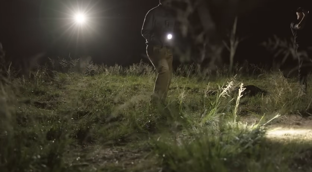 Natalie Greene New Jersey Natalie Greene New Jersey