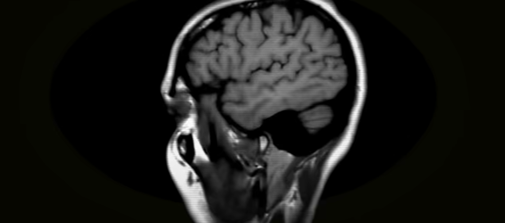 Why Neuroscientists Are Rewriting the Rules of How We Learn Why Neuroscientists Are Rewriting the Rules of How We Learn