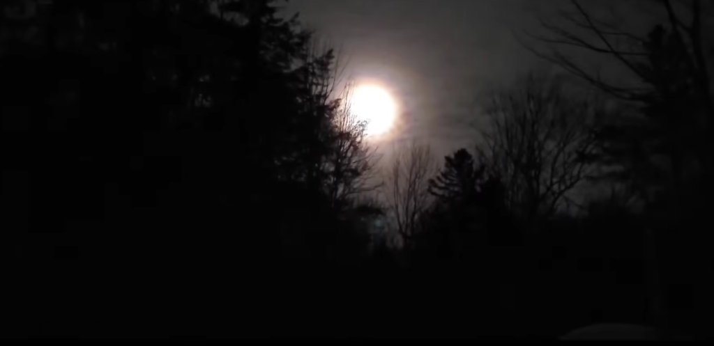 Wolf Supermoon Spiritual Meaning and the Instinct to Start Over