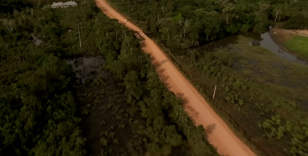 Satellites reveal hidden forests thriving beneath clouds Satellites reveal hidden forests thriving beneath clouds