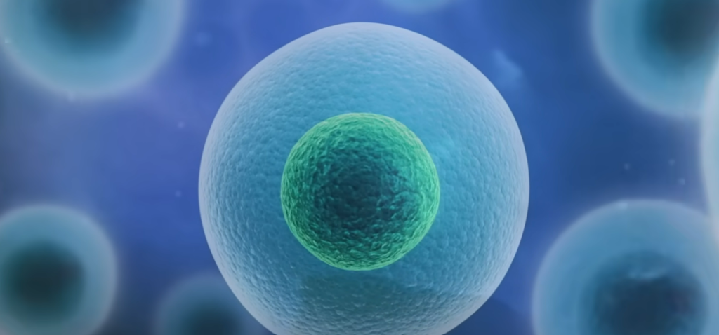 Ancient virus DNA may be protecting humans from disease