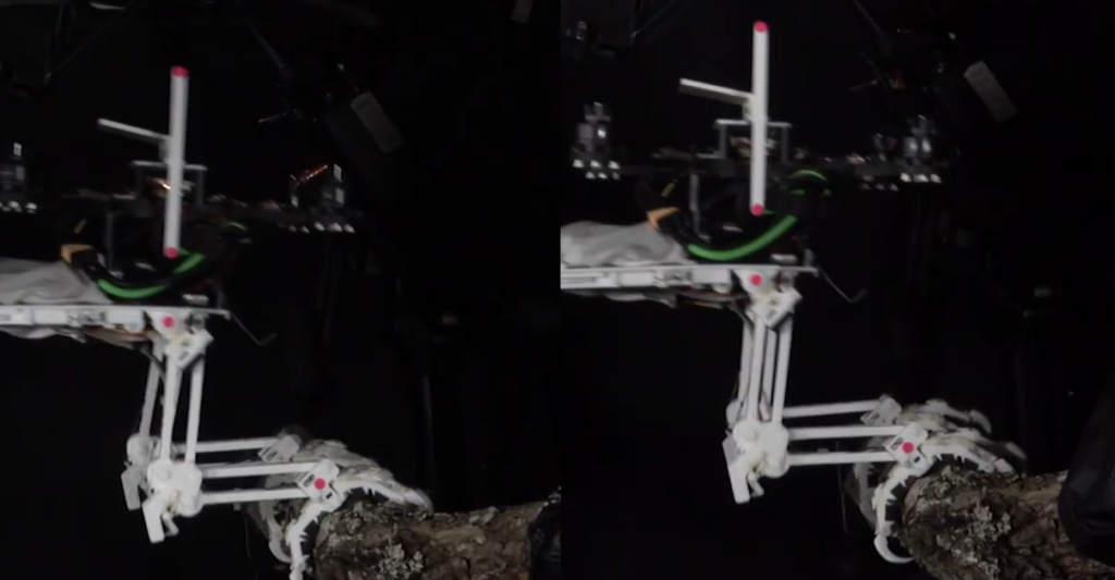 Engineers build drone that can perch like a bird