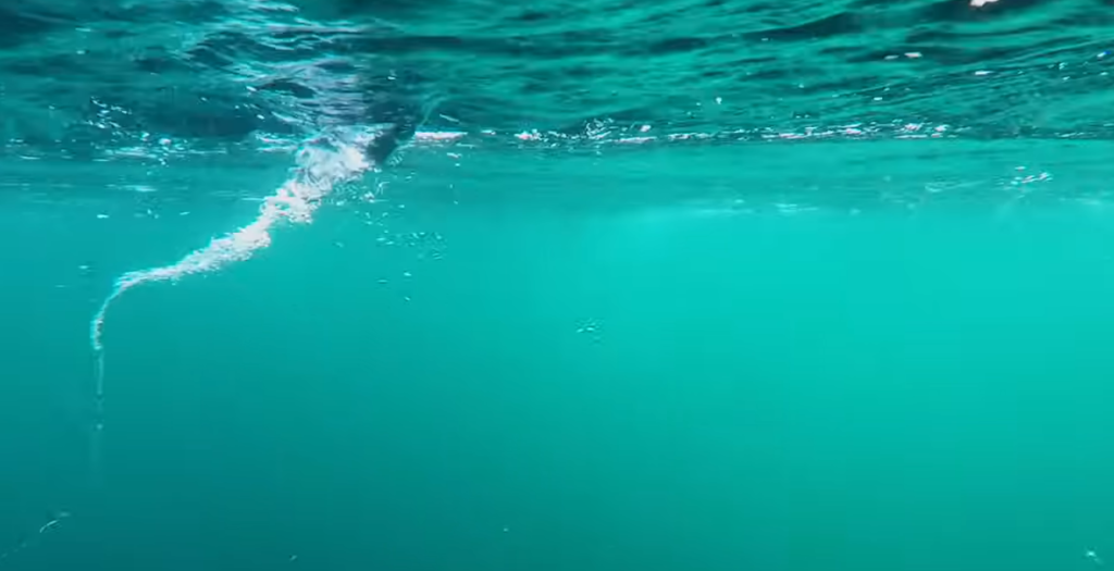 The ocean floor is cracking more than geologists believed