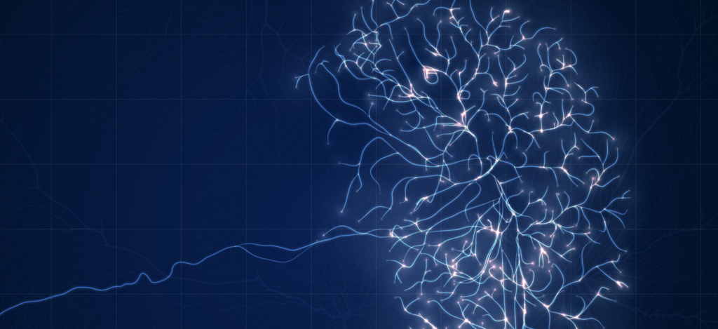 Scientists identify brain “navigation cells” for decision-making