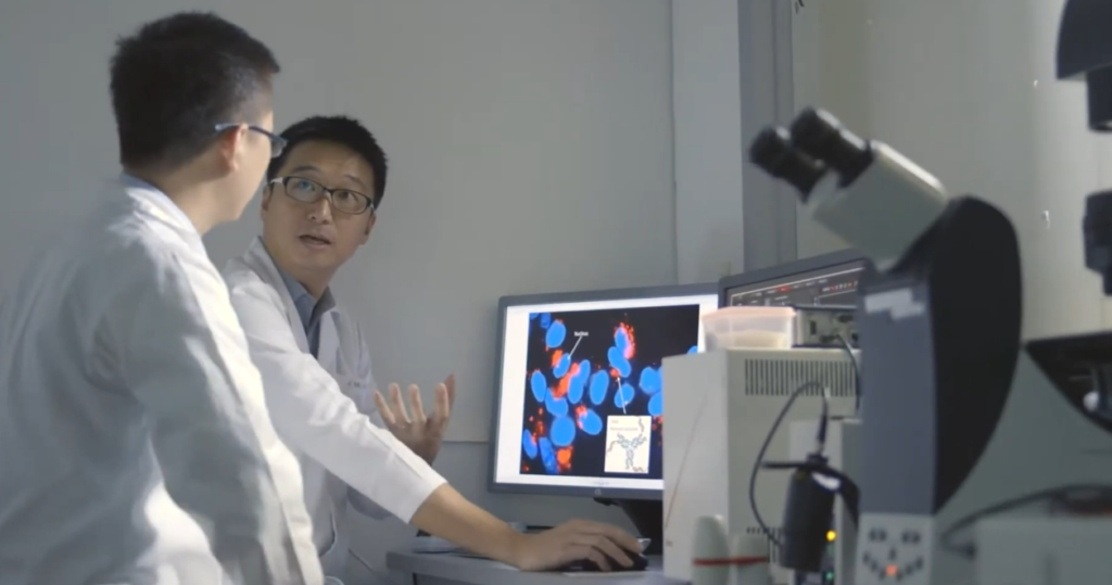 How Singapore Turned Academic Research Into a National Growth Engine