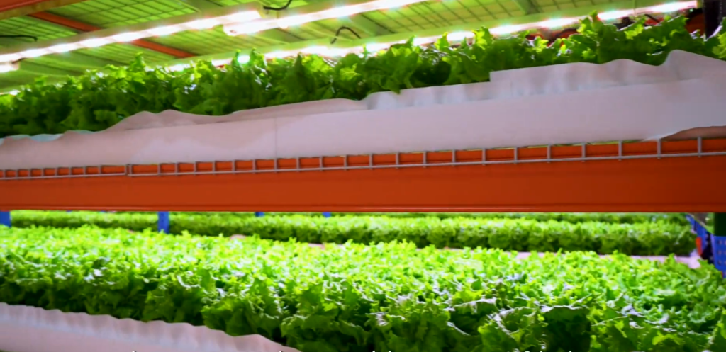 Dubai Unveils Vertical Farming Towers Powered Entirely by Solar