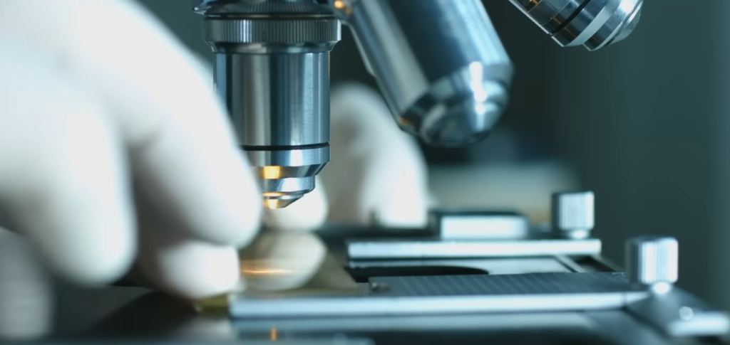 The Longevity Protocol: What Bill Gates and Jeff Bezos are Taking to Stay Young The Longevity Protocol: What Bill Gates and Jeff Bezos are Taking to Stay Young