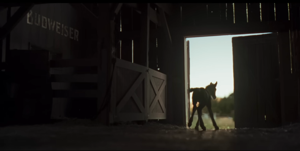 Clydesdale Eagle Commercial Carries Budweiser’s 150-Year Legacy with Heart Clydesdale Eagle Commercial Carries Budweiser’s 150-Year Legacy with Heart