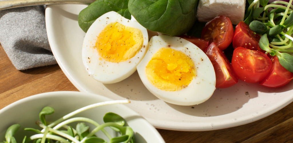 Ketogenic Diet Mouse Study Raises Red Flags Over Long-Term Metabolic Health