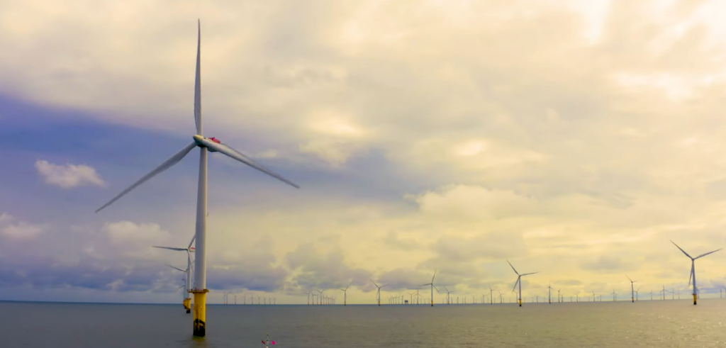 Octopus Energy Expands with China JV Aiming at 140 TWh by 2030 Octopus Energy Expands with China JV Aiming at 140 TWh by 2030