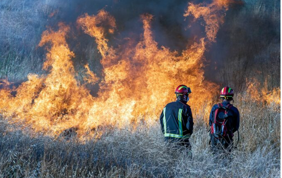 California Wildfire Evacuation Plan Criticized After Fatal Delays California Wildfire Evacuation Plan Criticized After Fatal Delays
