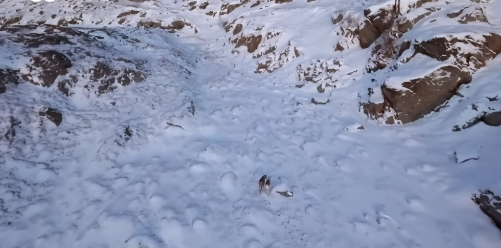 Scientists Reveal Hidden Climate Tipping Points in the Arctic