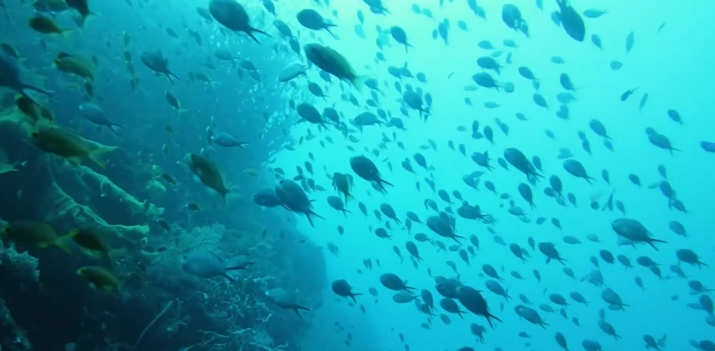 Scientists Discover Ocean Heat Is Reaching Depths Never Measured Before