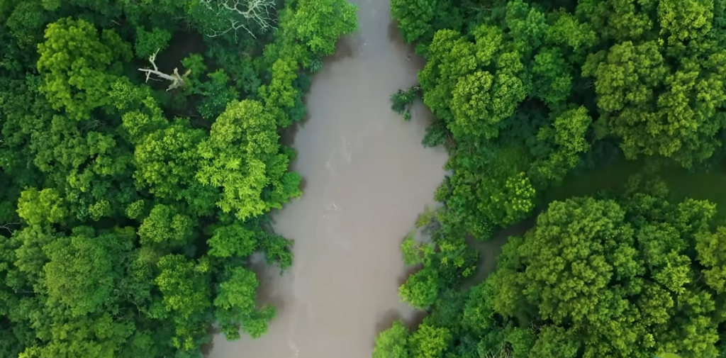 Amazon Rainforest Carbon Credits Now Tradable on New Global Exchange