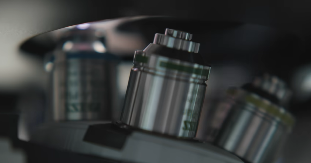 Icelandic Scientists Recreate Early Human Brain Organoids for Study