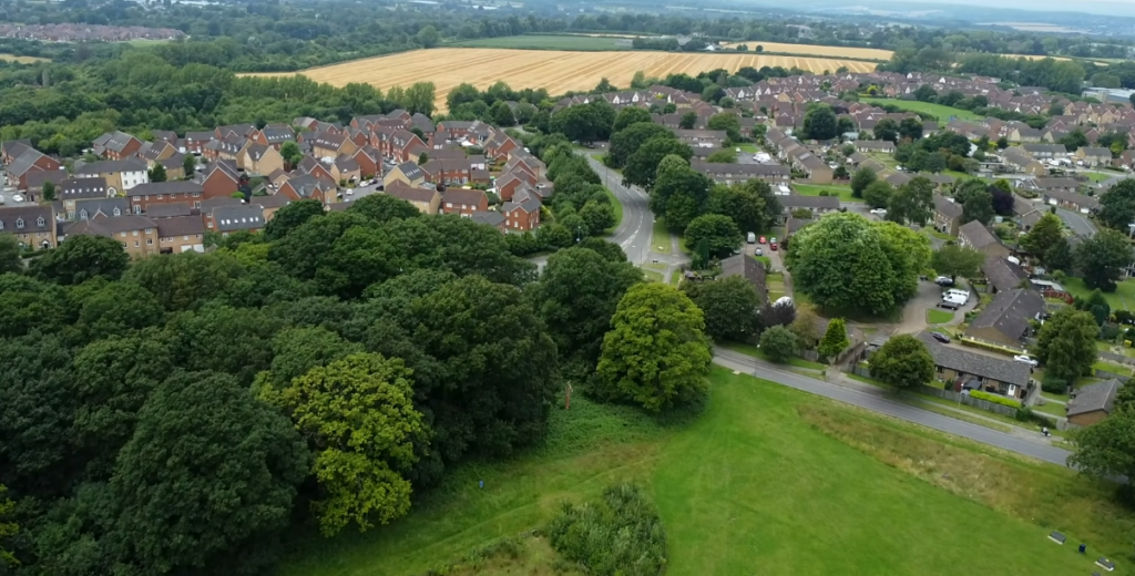 Japan’s Forestry Tech Startup Uses Drones + AI to Restore 500,000 Hectares