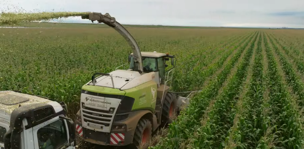 South Africa Unveils National Genetic Diversity Initiative for Crop Resilience