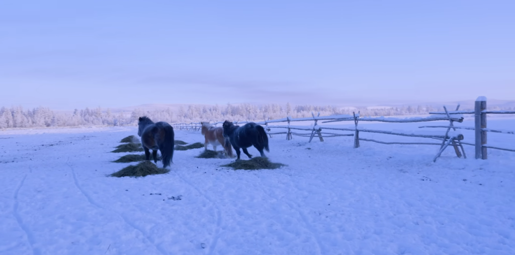 Scientists Uncover Why Extreme Cold Still Happens in a Warming Climate