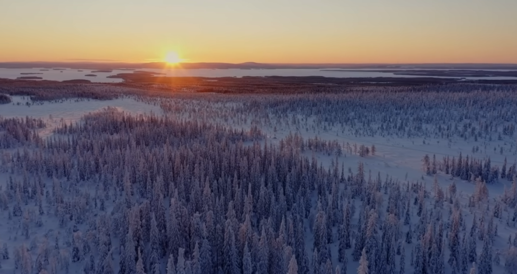 The Arctic’s Sudden Fever: Why 2026 Could Be the Year the Ice Doesn’t Recover The Arctic’s Sudden Fever: Why 2026 Could Be the Year the Ice Doesn’t Recover