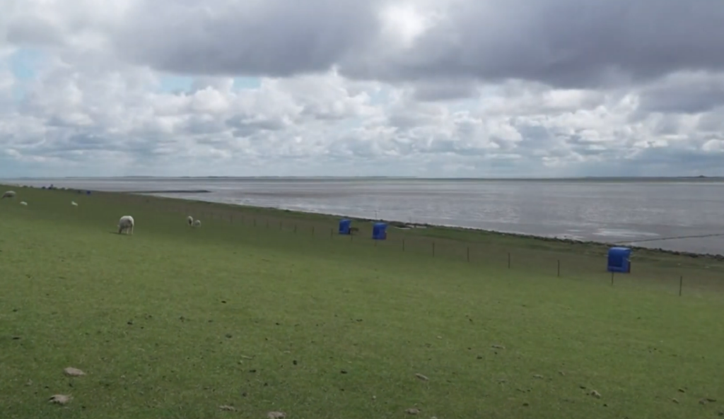 Germany’s Climate Court Ruling Sends Shockwaves Across Europe