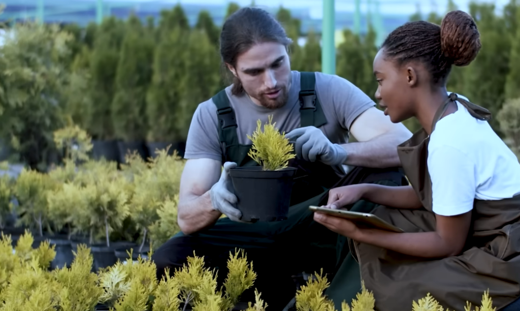 UPL Stock Price Crashes 13%: What’s Behind the Sudden Decline?