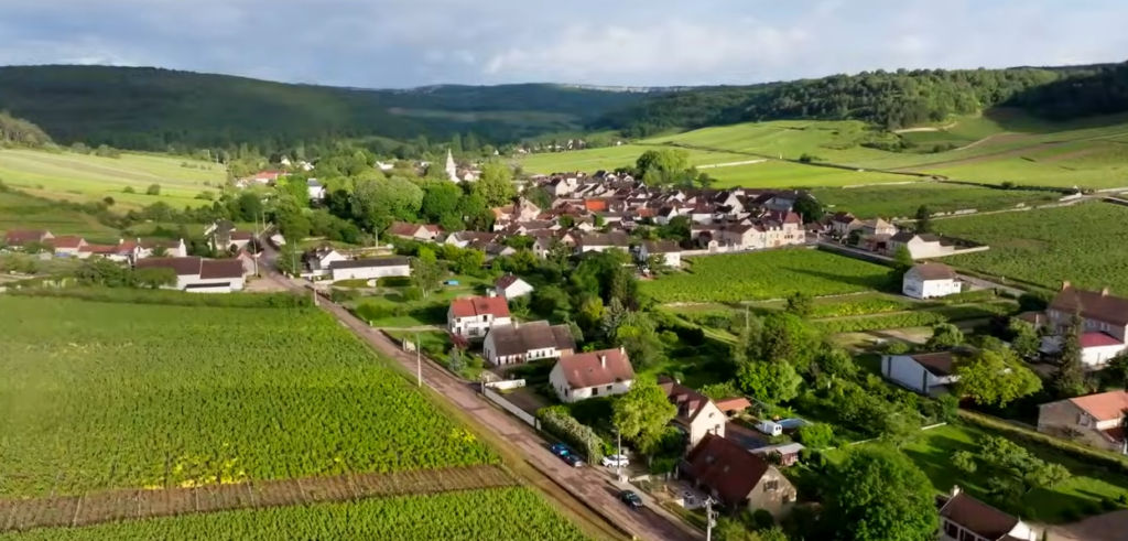 France’s Vineyards Struggle with Climate-Induced Heat