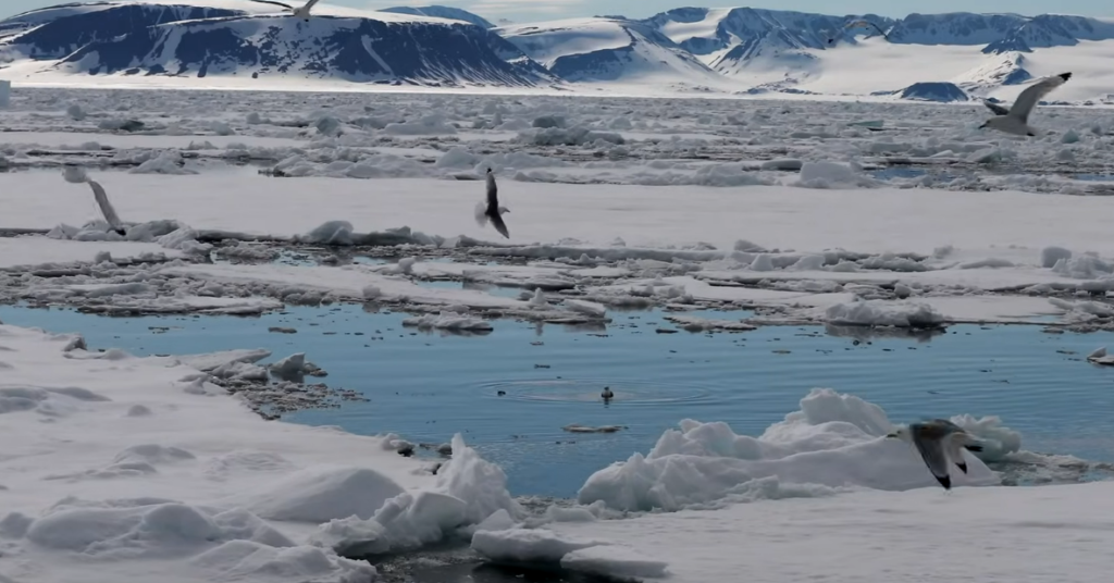 The Arctic Ocean Could Be Ice-Free in Summer Sooner Than Expected