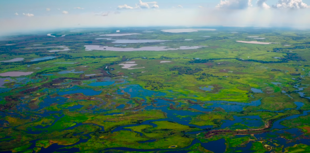 Brazil’s Pantanal Wetlands Are Drying at an Alarming Pace