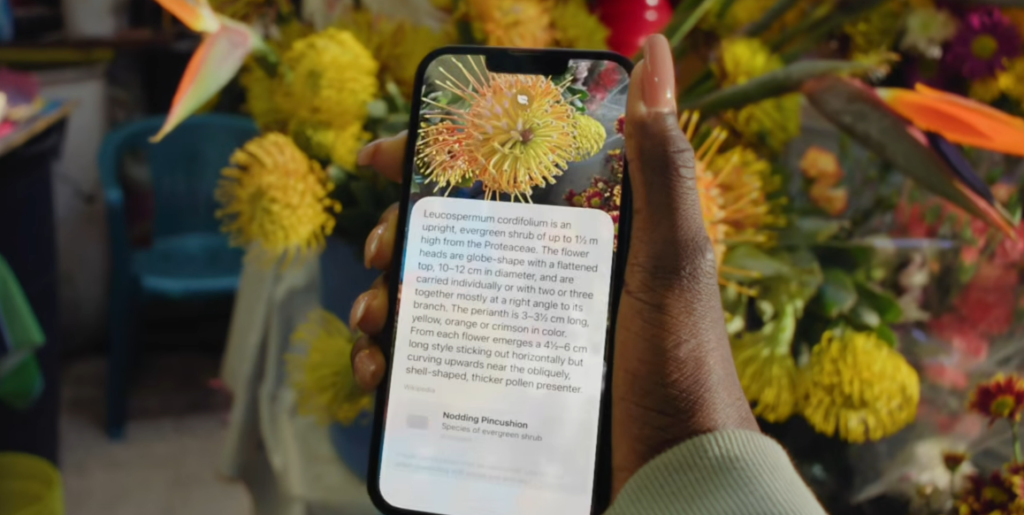 AAPL Stock Near $265 — Is Apple Quietly Setting Up Its Next Surge? AAPL Stock Near $265 — Is Apple Quietly Setting Up Its Next Surge?