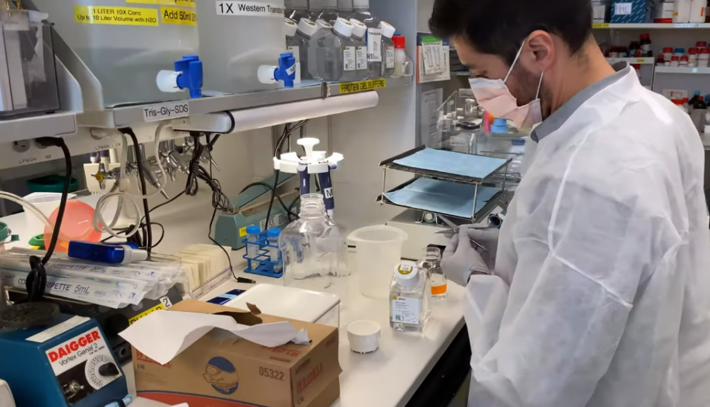 NIH Announces Genetic Editing Trial for Rare Disease That Reshapes Treatment