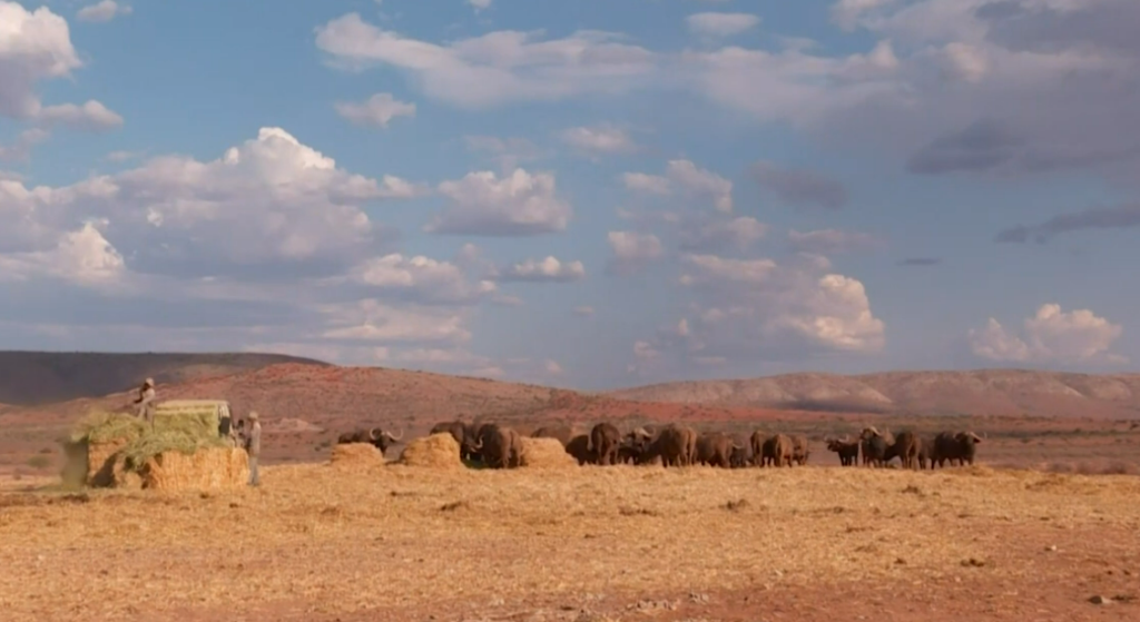 South Africa’s Drought Crisis Is Escalating Beyond Emergency Levels South Africa’s Drought Crisis Is Escalating Beyond Emergency Levels