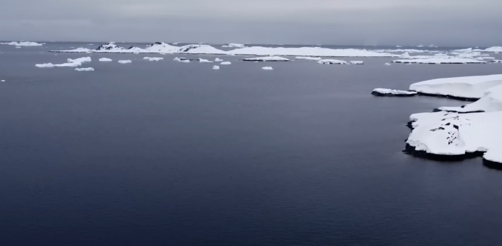 Record Ocean Temperatures Set Off Alarm Bells at MIT