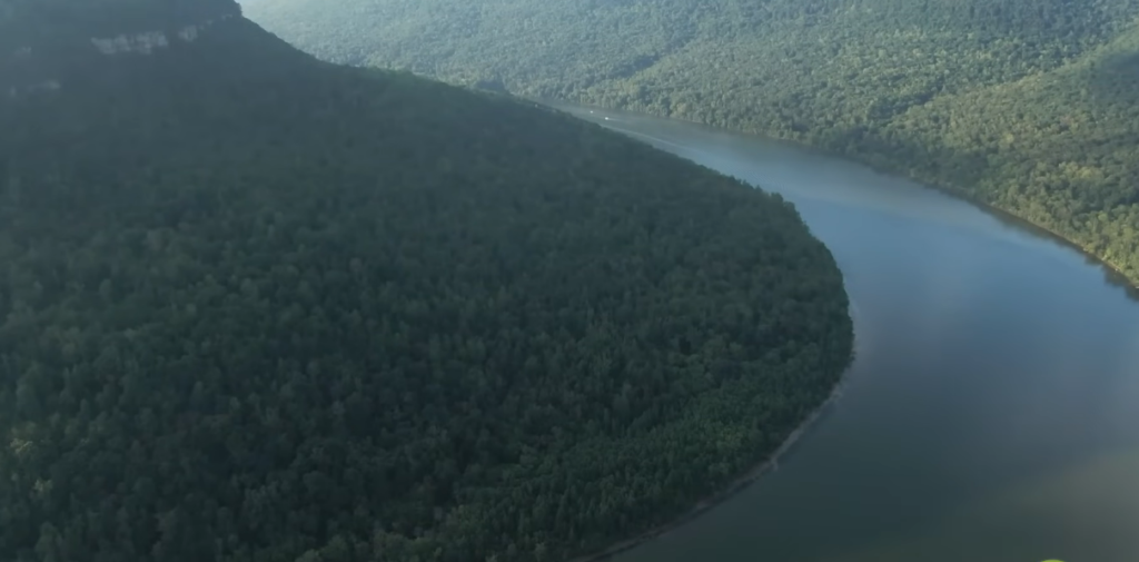 The Amazon Rainforest May Be Approaching Irreversible Change