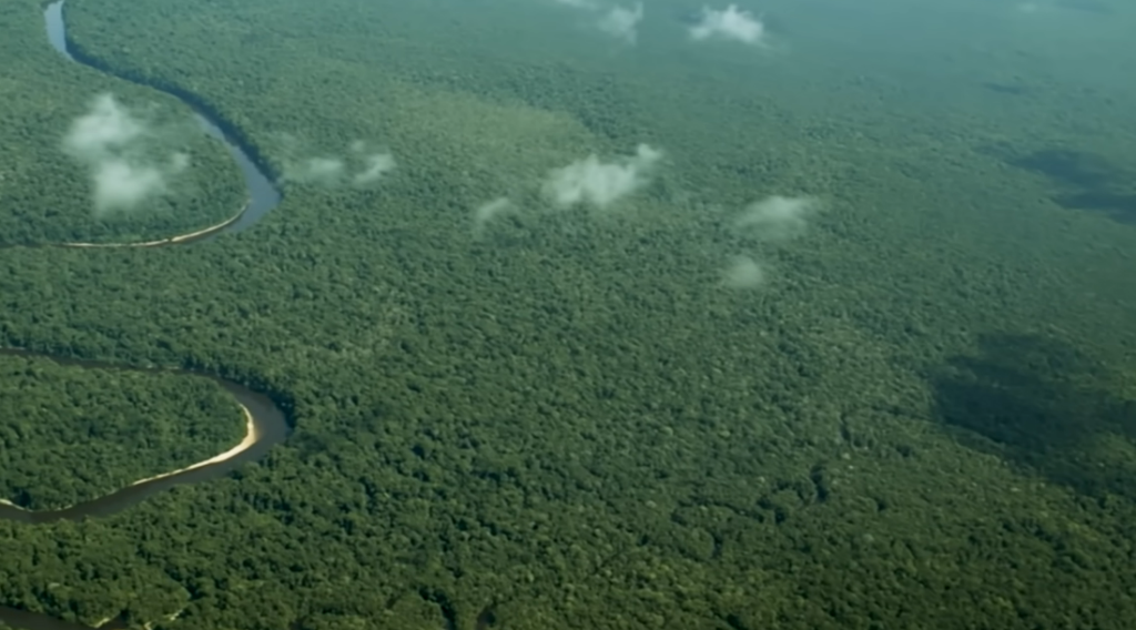 Brazil’s Climate Policy Under Global Scrutiny