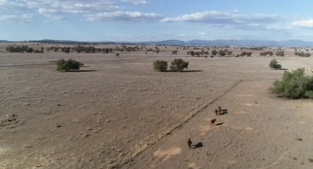 South America’s Megadrought Enters Its 15th Year