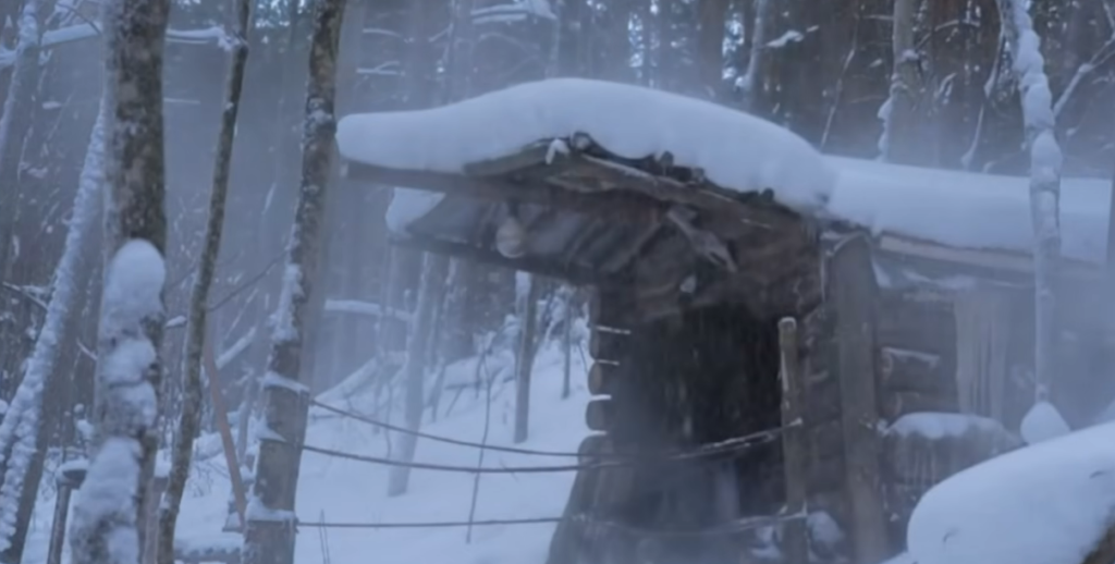 U.S. Winter Storms Are Intensifying—And Climate Data Explains Why