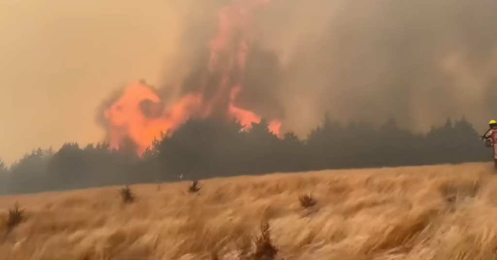 California's Heat Dome Breaks Another Record — and Climate Scientists Say It Was 800 Times More Likely Because of Us