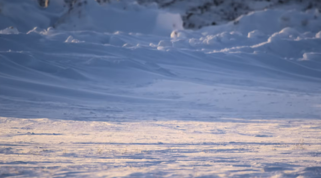 Arctic Scientists Track Rapid Ice Shelf Fractures — and the Signals Are Getting Harder to Ignore