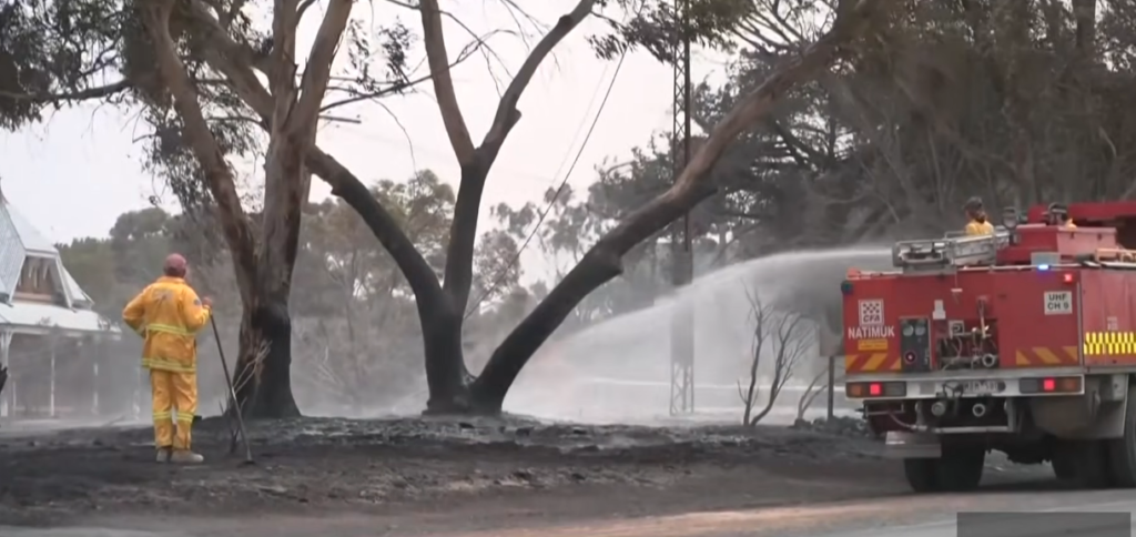 A Continent on Fire: The New Reality of Year-Round Wildfire Seasons in Australia