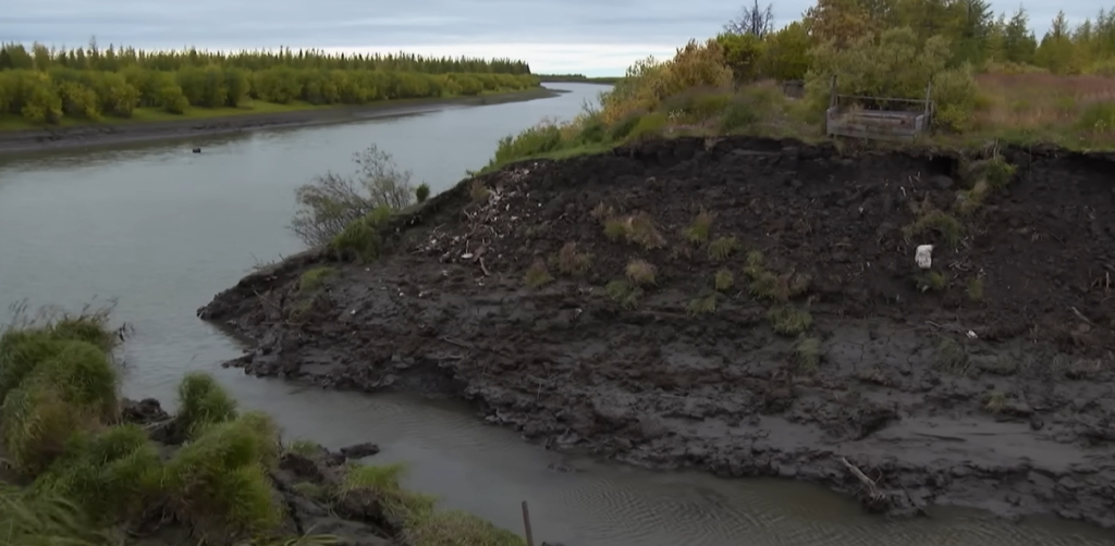 The Climate Lawyer Who Has Won More Cases Against Governments Than Any Other Attorney in History