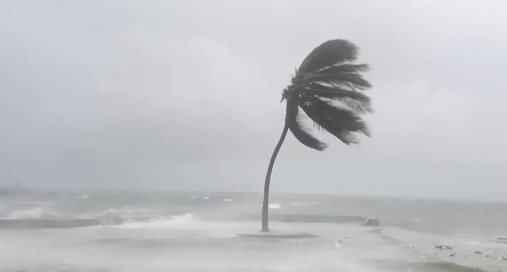 The Climate Researcher Who Left Academia to Work for an Oil Company — and What She Learned The Climate Researcher Who Left Academia to Work for an Oil Company — and What She Learned