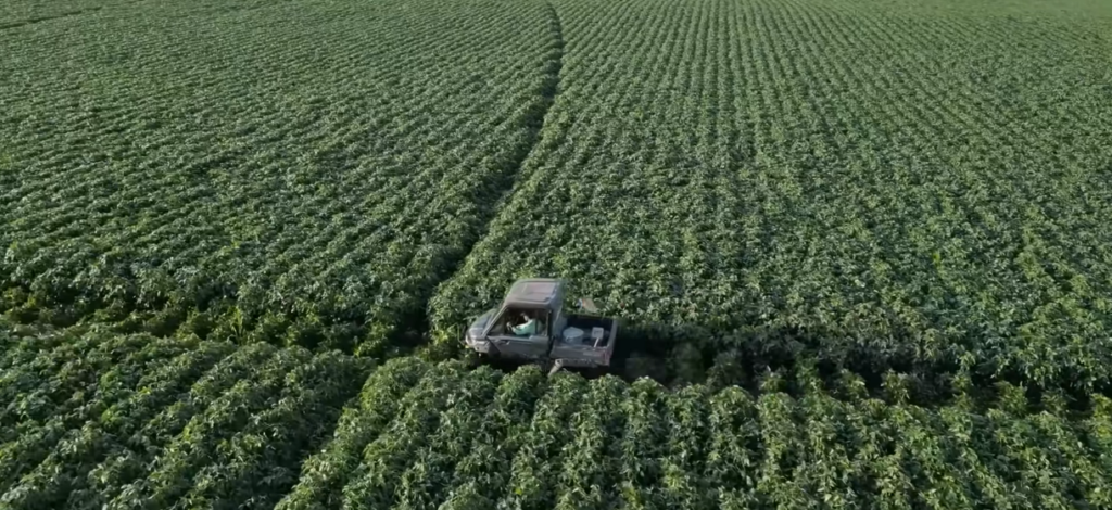 The Agricultural Commodity Futures Market Is Pricing In Climate Chaos — and Farmers Are the Last to Know The Agricultural Commodity Futures Market Is Pricing In Climate Chaos — and Farmers Are the Last to Know