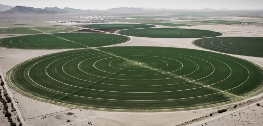 Speaking in Code: How Government Scientists Hide Their Climate Data to Keep It Alive