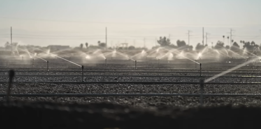 The Climate Scientist Who Spent 30 Years Warning the World — and What She Said When Nobody Listened