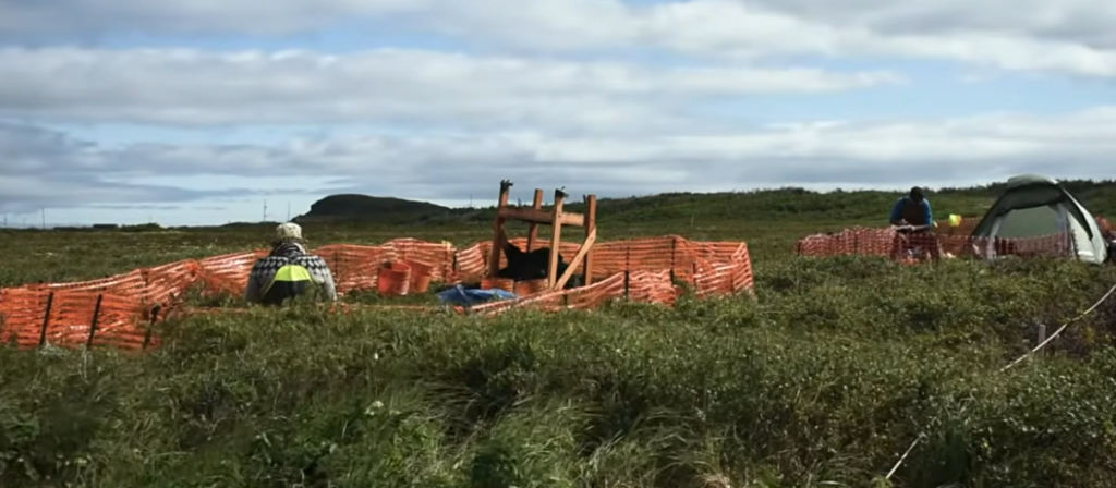 The Canadian Island With a Viking Settlement That Rewrote Everything We Thought We Knew About Who Discovered America The Canadian Island With a Viking Settlement That Rewrote Everything We Thought We Knew About Who Discovered America