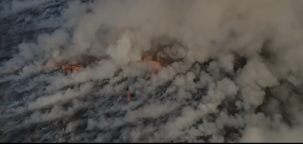 The Carbon Tax Debate: Why Economists Say It's the Only Way, and Politicians Say It's Suicide