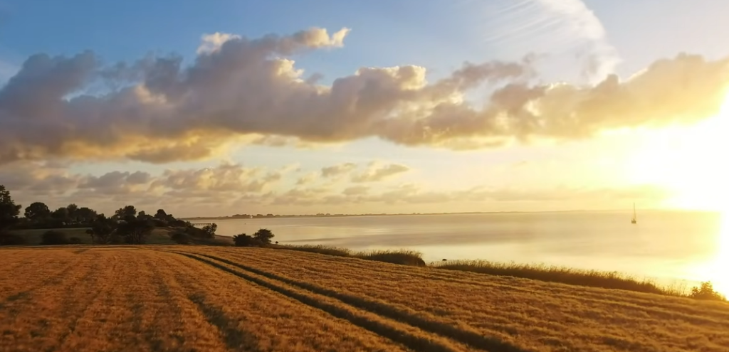 The Wheat Shortage Nobody Is Talking About — and How Global Warming Is Making It Permanent