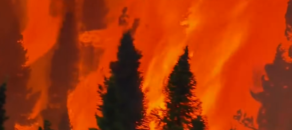 Climate Change Is Now the Biggest Threat to Global Public Health, 300 Medical Journals Agree